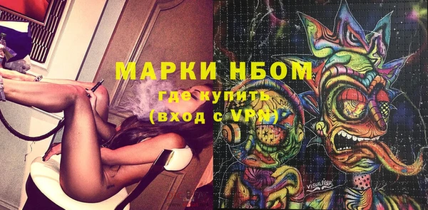 СК Калининец