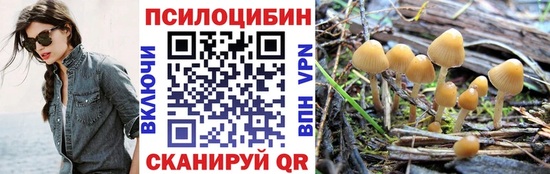 Галлюциногенные грибы Psilocybine cubensis  Купить  Могоча 